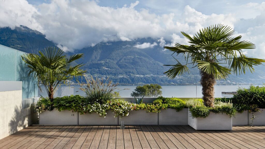 Dachterrasse mit Seeblick Holz-Dachterrasse mit Palmen und Blick auf See und Berge
